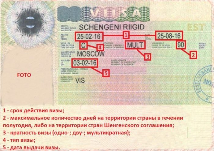 Сколько стоит шенгенская виза для россиян в 2020 году