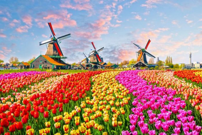 Голландия и Нидерланды — в чем разница