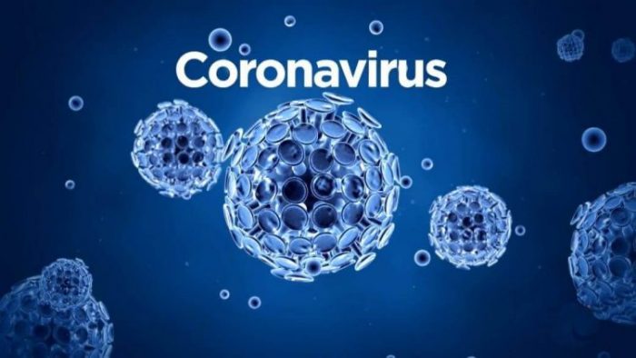 Откуда взялся коронавирус в Китае 2020 года на самом деле