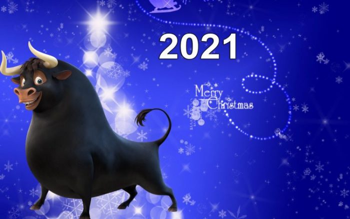 Как встречать 2021 год Быка правильно, чтобы его задобрить