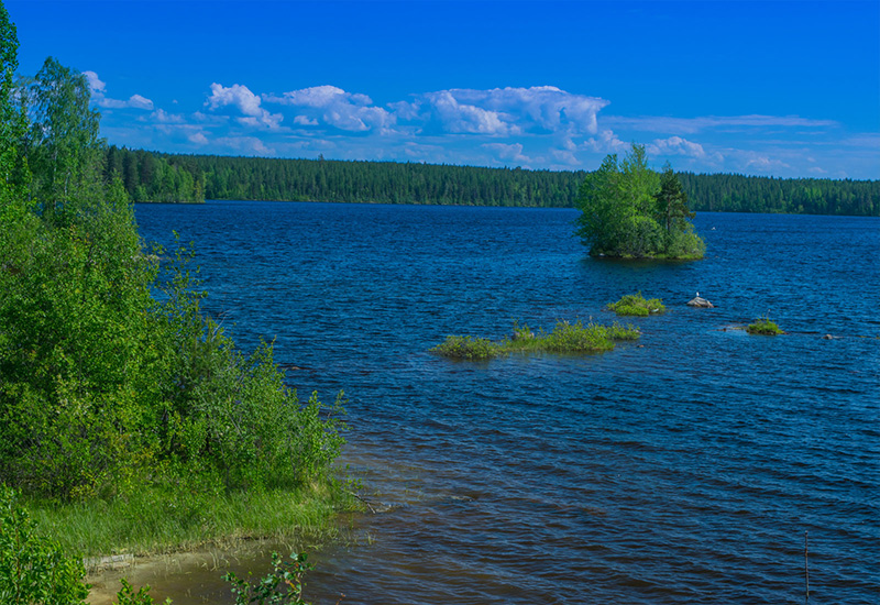 Выгозеро озеро в Карелии