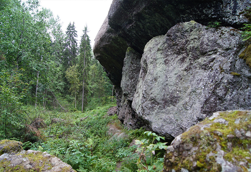 Тропа Шуйские скалы возле Укшозера
